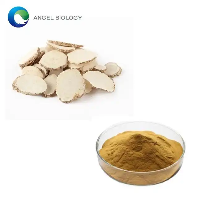 How Germany Sources GMP-Certified Angelica Extract for Herbal Medicines